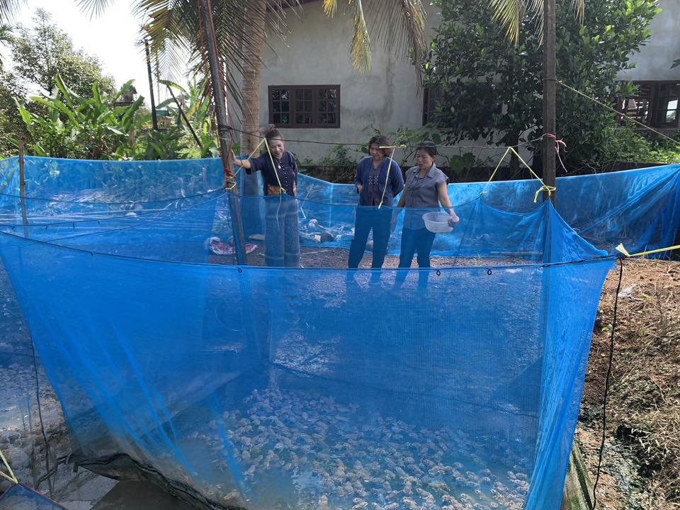 วันที่ 5 ม.ค. 69 สำนักงานพัฒนาชุมชนอำเภอขลุง ลงพื้นที่วิเคราะห์ปัญหา เเละความต้องการของครัวเรือนในตำบลวังสรรพรส เพื่อส่งเสริมเเละสนับสนุนด้านอาชีพ ให้ตรงกับความต้องการ